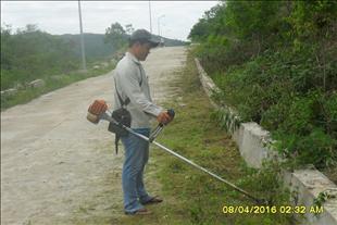 Tuổi trẻ Công ty Thủy điện An Khê – Ka Nak   “Vì môi trường xanh sạch đẹp”